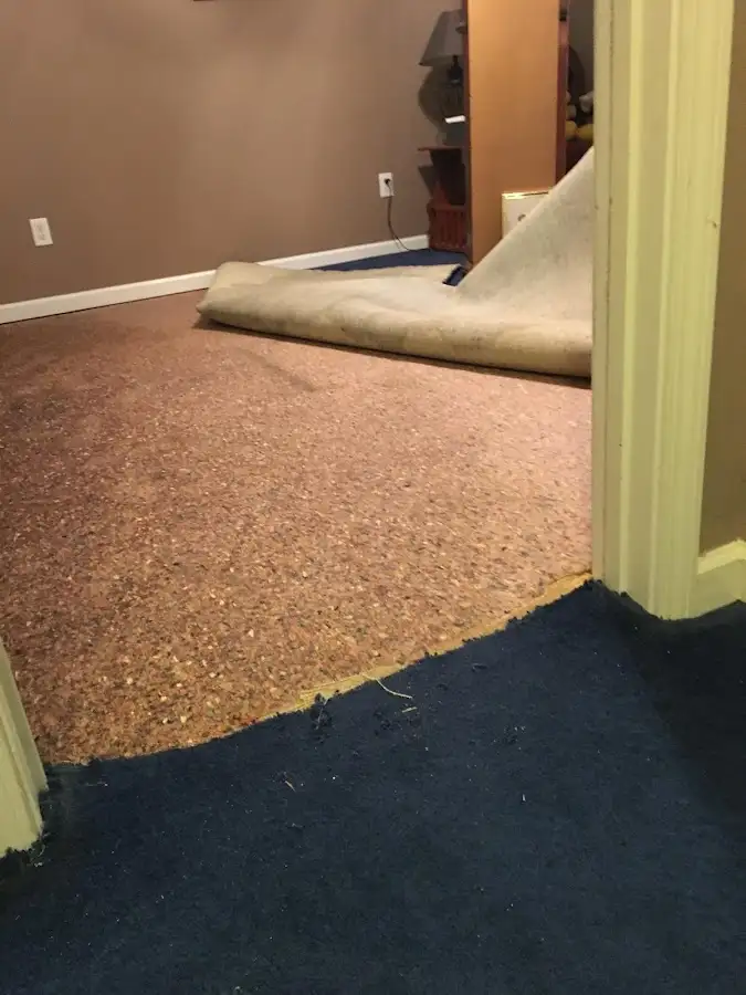 Carpet pad removal revealing water damage during Drying & Dehumidification in Fruitland Park