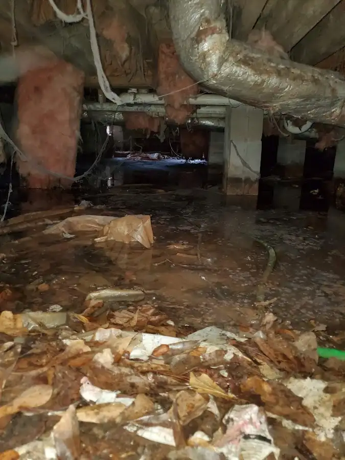 Crawl space flood assessment for Leak Detection & Repair in Fruitland Park