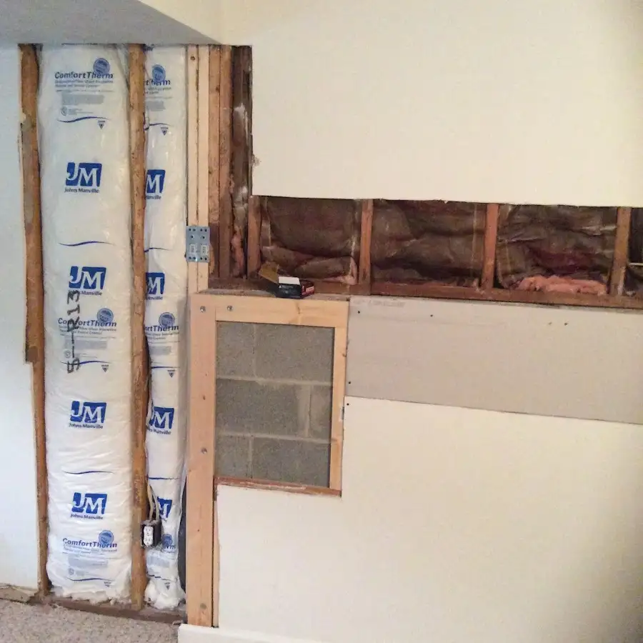 Wall insulation replacement during Odor Removal & Deodorization in Fruitland Park